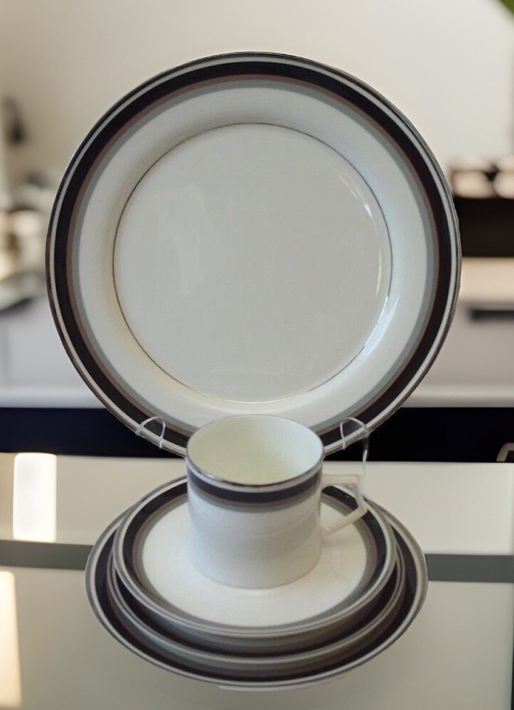 5 Pc Mikasa NOIR Place Setting Bone China A4-102 EUC