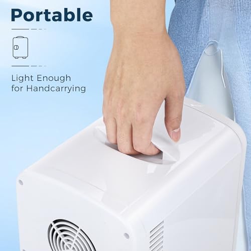 Compact Refrigerator, Portable Mini Fridge, Skin Care 4L White Normal