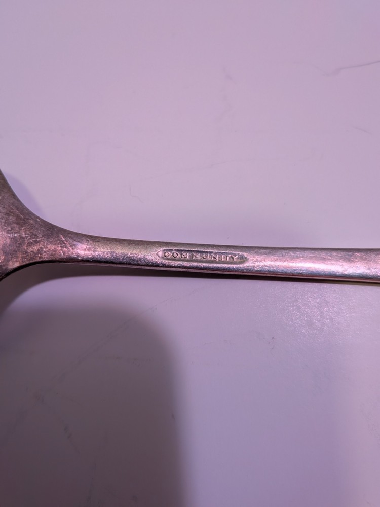 Oneida Community Lady Hamilton Serving Spoon And Fork