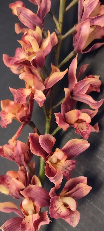 Artificial Cymbidium Orchid stem RUST MAUVE