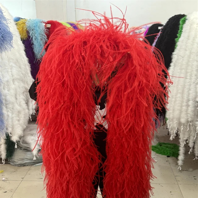 Deluxe 2M Ostrich Feather Boa Shawl 6 Layers Dance Performance Accessory R6