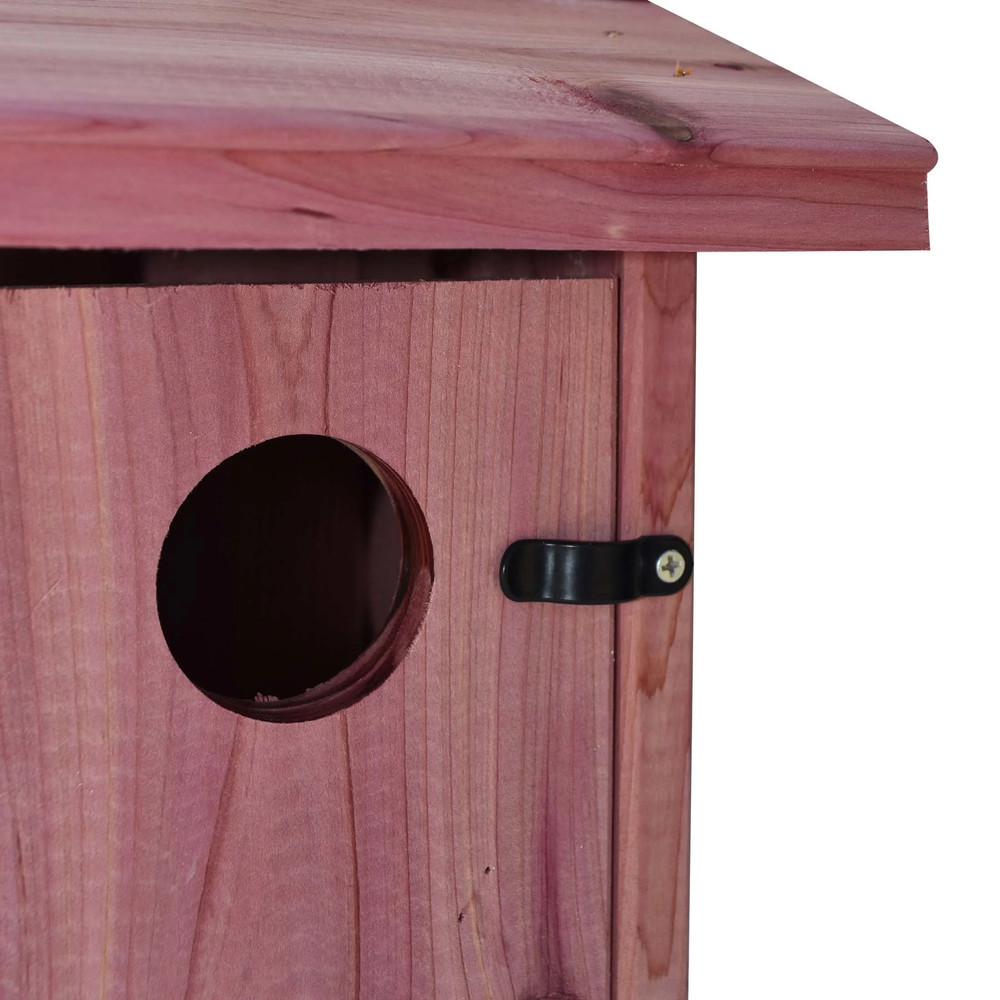 (2 Pack) Red Cedar Bluebird Wild Bird House, 1 Pack