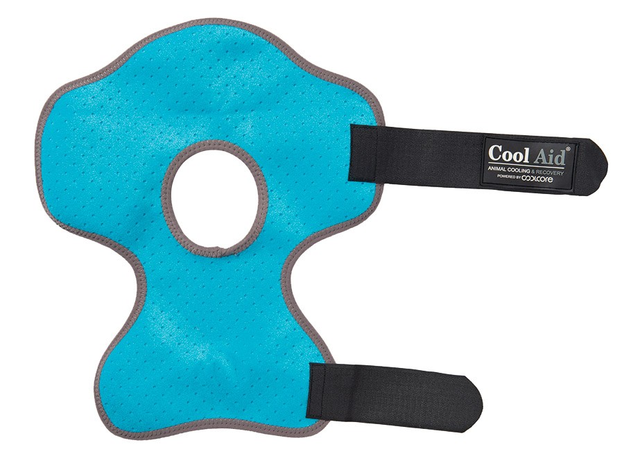 Coolcore Equine Icing and Cooling Hock Wraps, Turquoise, Medium