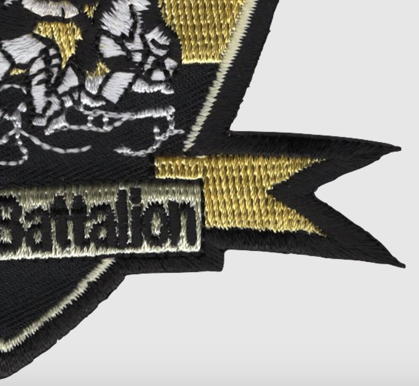 2nd Battalion 24th Marines Patch
