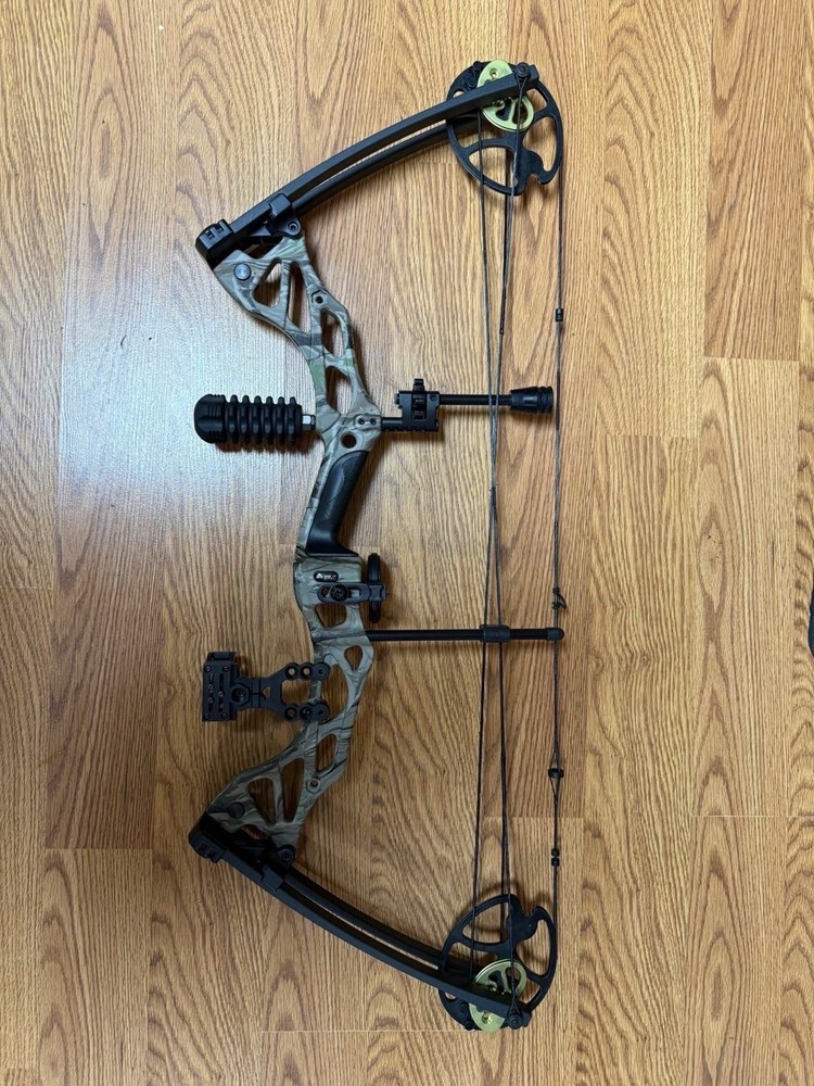 Compound Bow