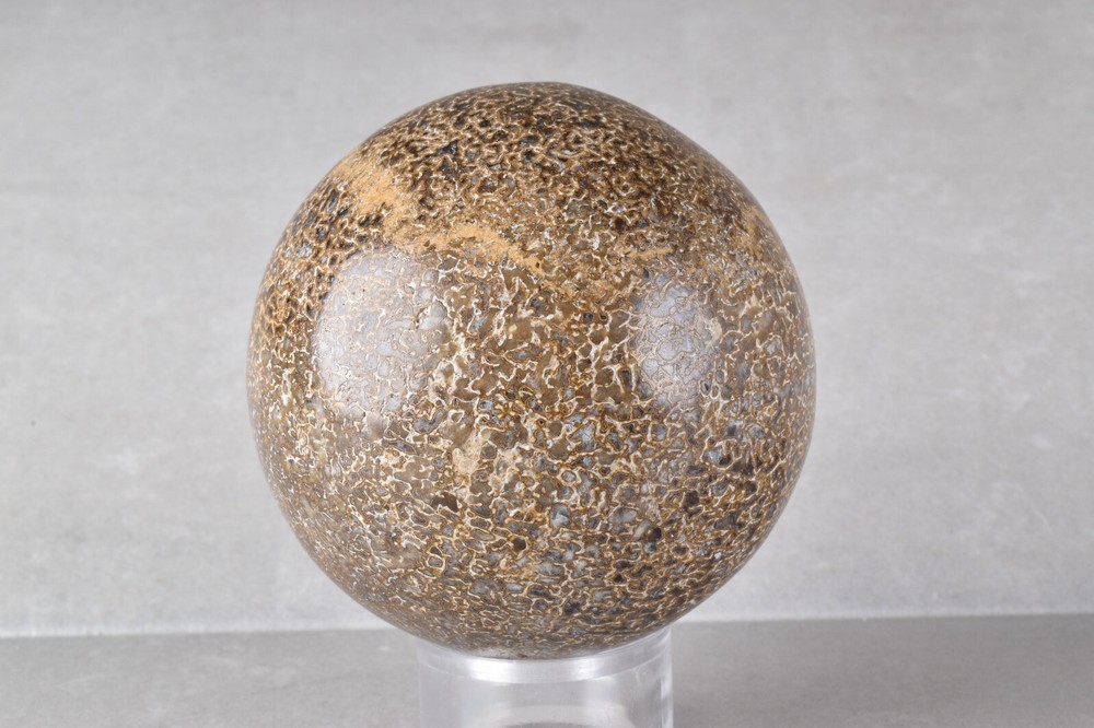 Dinosaur Bone Sphere from Morocco 6.8 cm # 21482