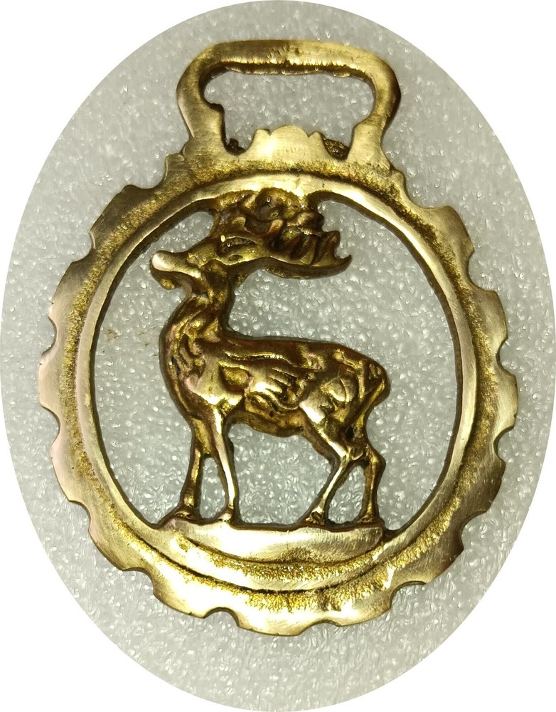 STAG   horse brass      (8857)