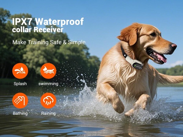 Dog Training Collar Remote Rechargeable Shock PET Waterproof Trainer