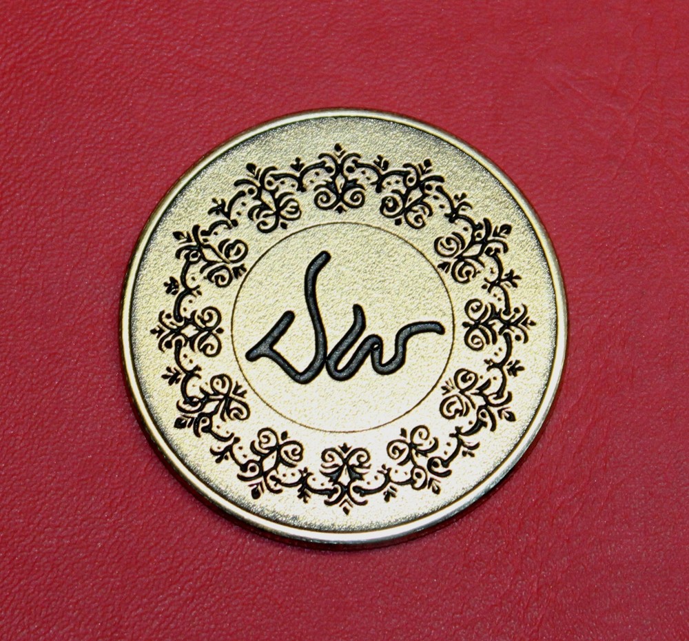Dan Wesson Bronze Coin