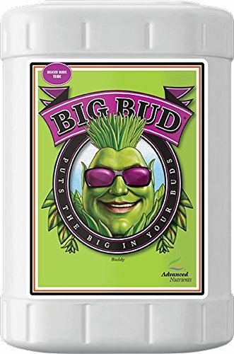Advanced Nutrients Big Bud Liquid 23 Liters Bloom Booster Enhancer