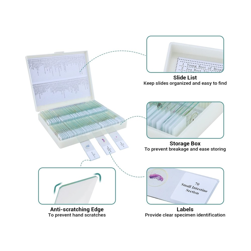 100Pcs Microscope Slides with Specimens, Prepared Microscope Slides with Inse...
