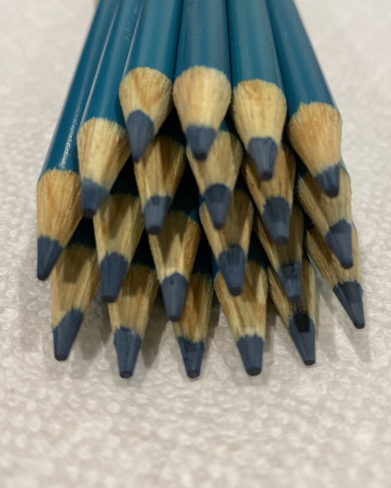 (20) Crayola Colored Pencils (green blue) BULK