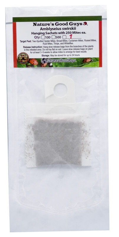 Slow Release Sachet - Amblyseius Swirskii - Predatory Spider Mite Control