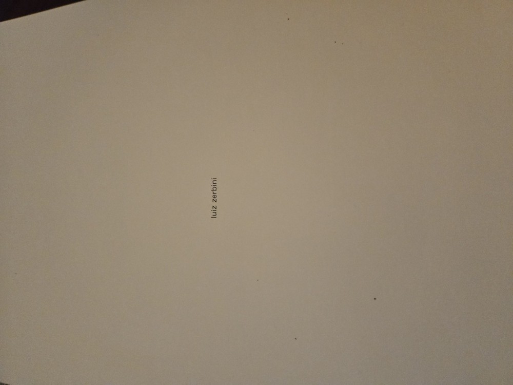 Luiz Zerbini cosac naify 2013 Art Book Compilation