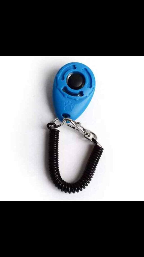 Training clicker for pets