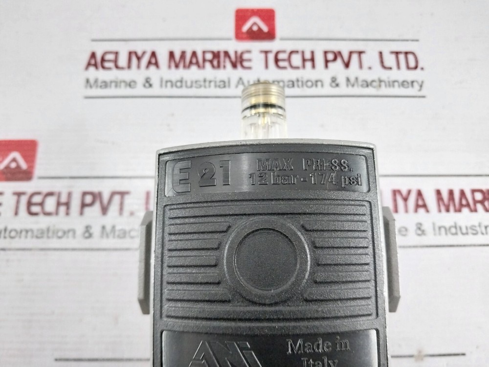 ANI E21 Modular Lubricator 12 BAR-174 PSI