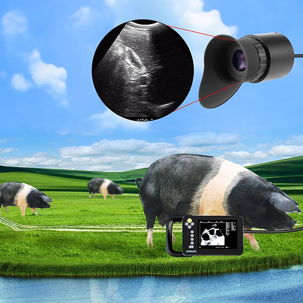 V760C-3 Wearing Large HD Screen Portable Display Head Mounted Display Accessory