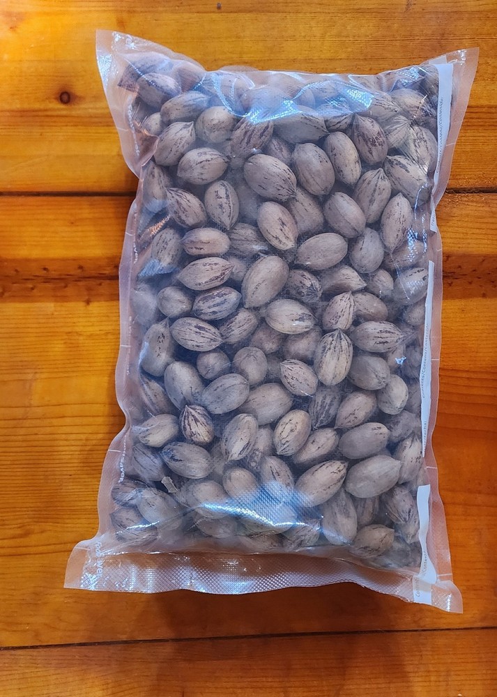 5 lbs. 2025 Fresh Crop of Texas Pecans In Shell