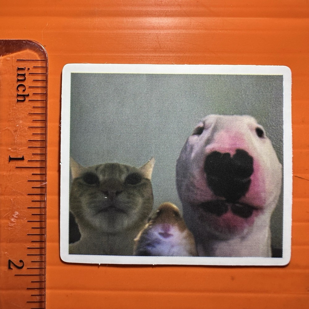 Bull Terrier Rat Hamster Meme Sticker
