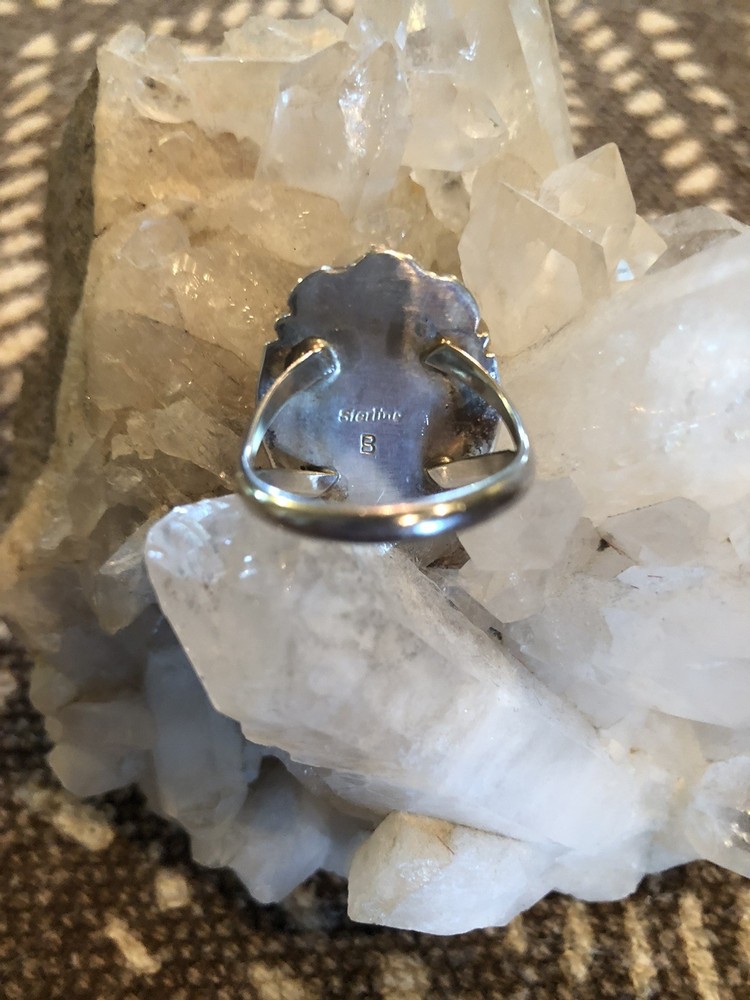 Wild Horse Sterling Silver Ring Size 9
