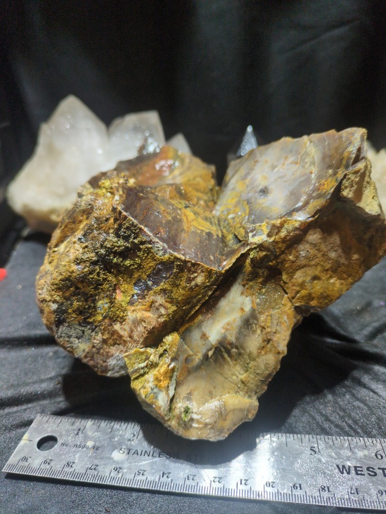 Biggs Jasper Specimen w/ Dendric Natural Form (7lbs 12oz)