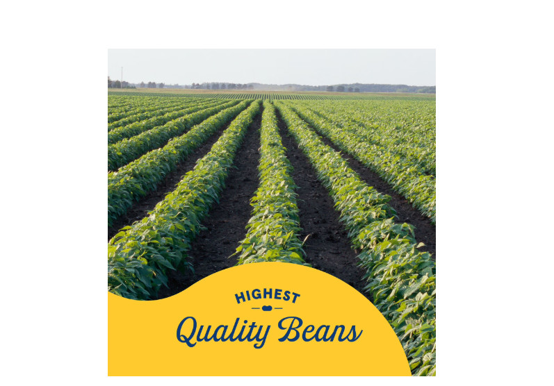 Bush's Pinto Beans 16 oz., 6 pk.
