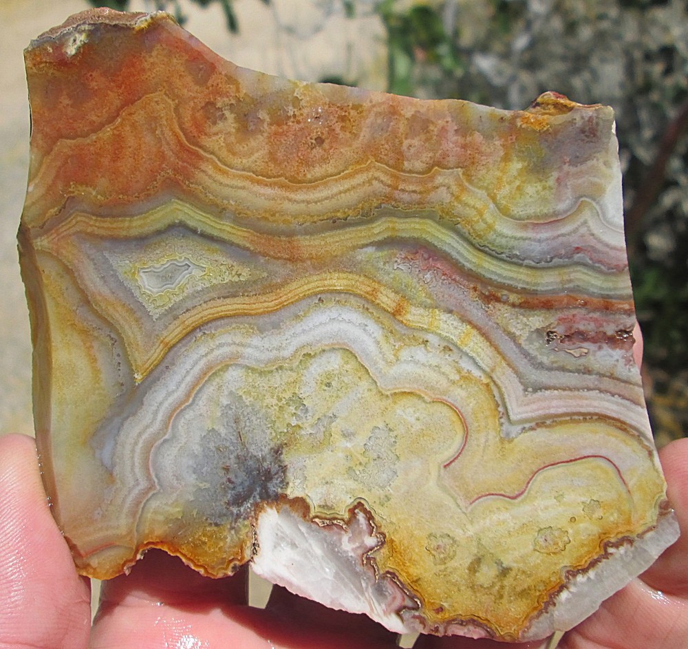CRAZY LACE AGATE SLAB ~ 3-7/8" X 3-1/4"