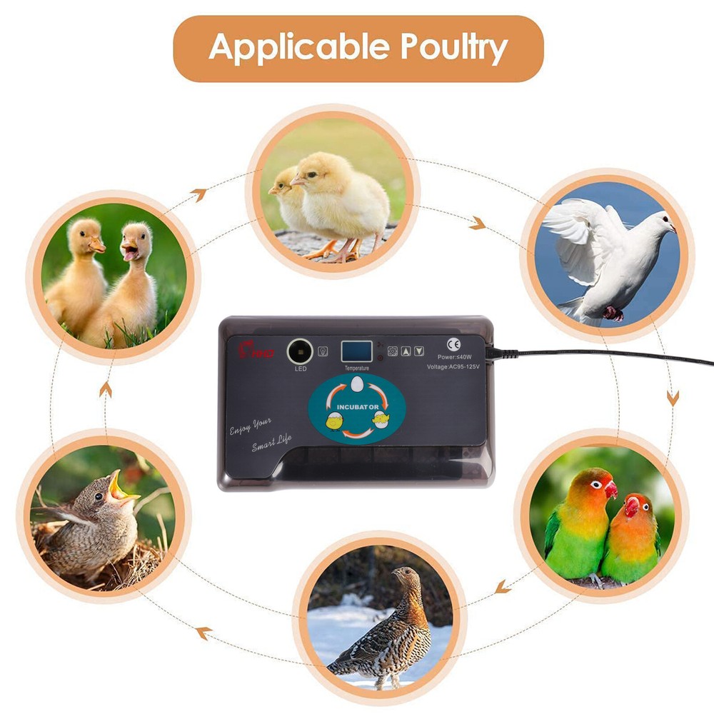 Egg Incubator Automatic Chicken Quail Chick Bird Hatcher Temperature Control