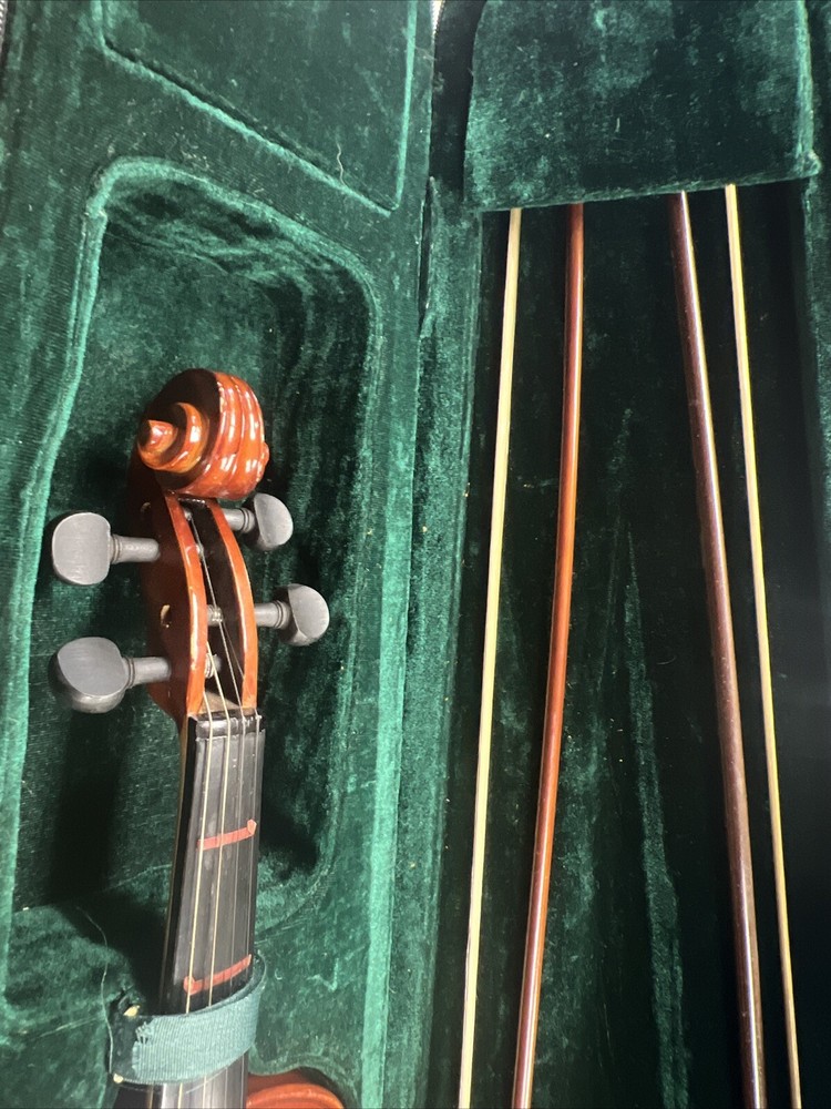 Parrot | Art No. 19 | Violin With Case