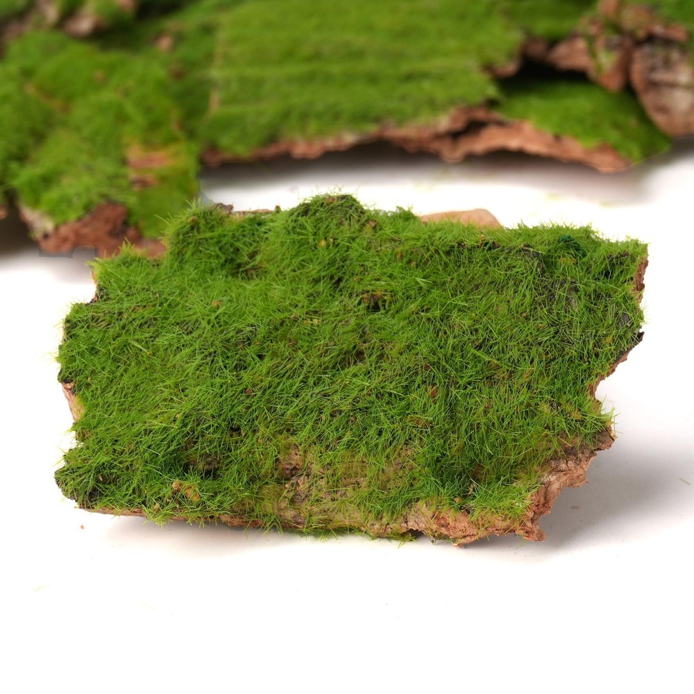 BYHER Assorted Artificial Moss Bark, Decorative Mossy Realistic Green - 100gr