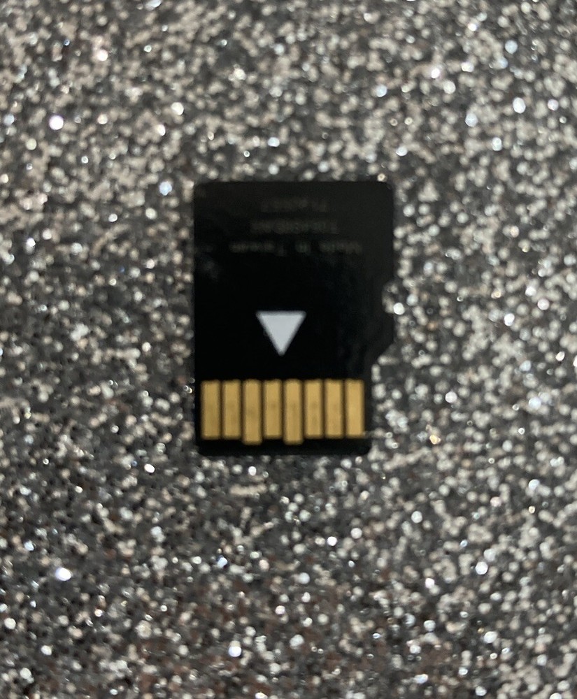Kings max Micro Sd Chip