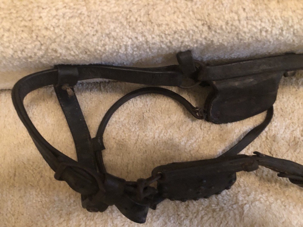 Horse Blinder Vintage