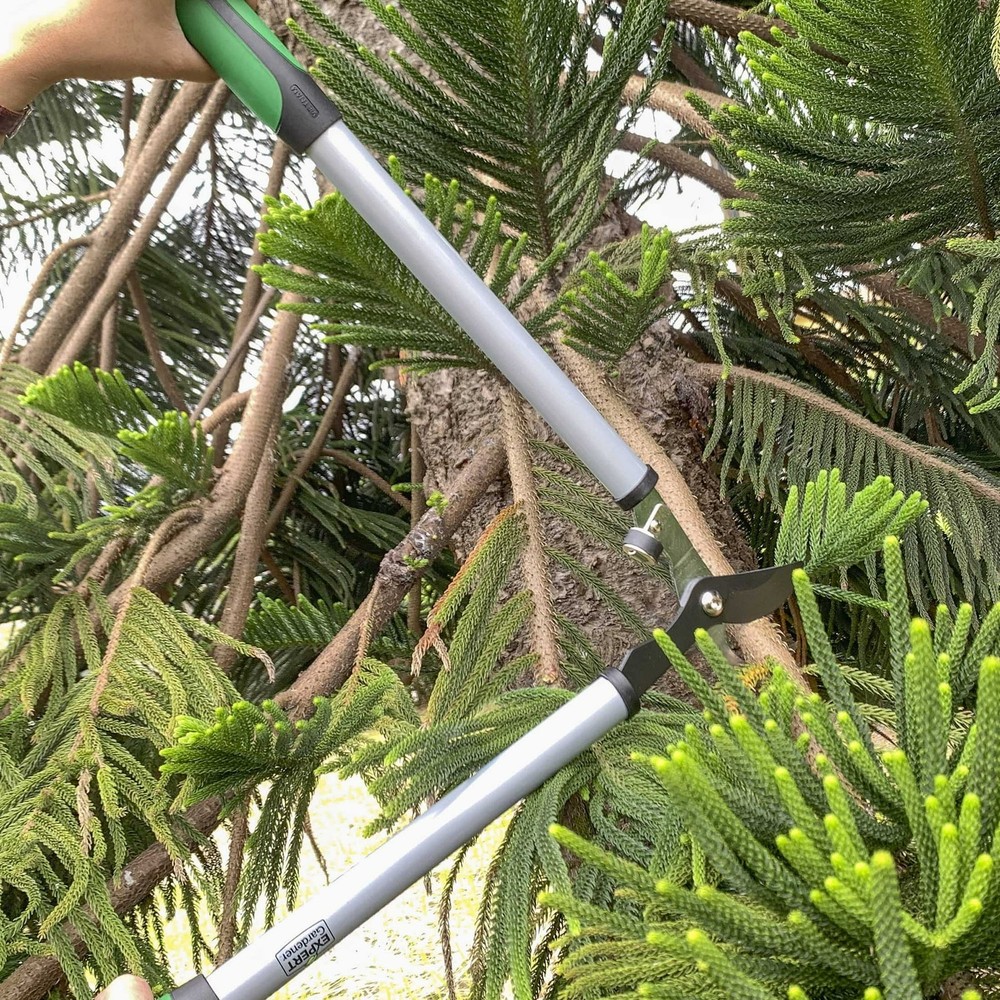 Steel Bypass Lopper Cutting Capacity