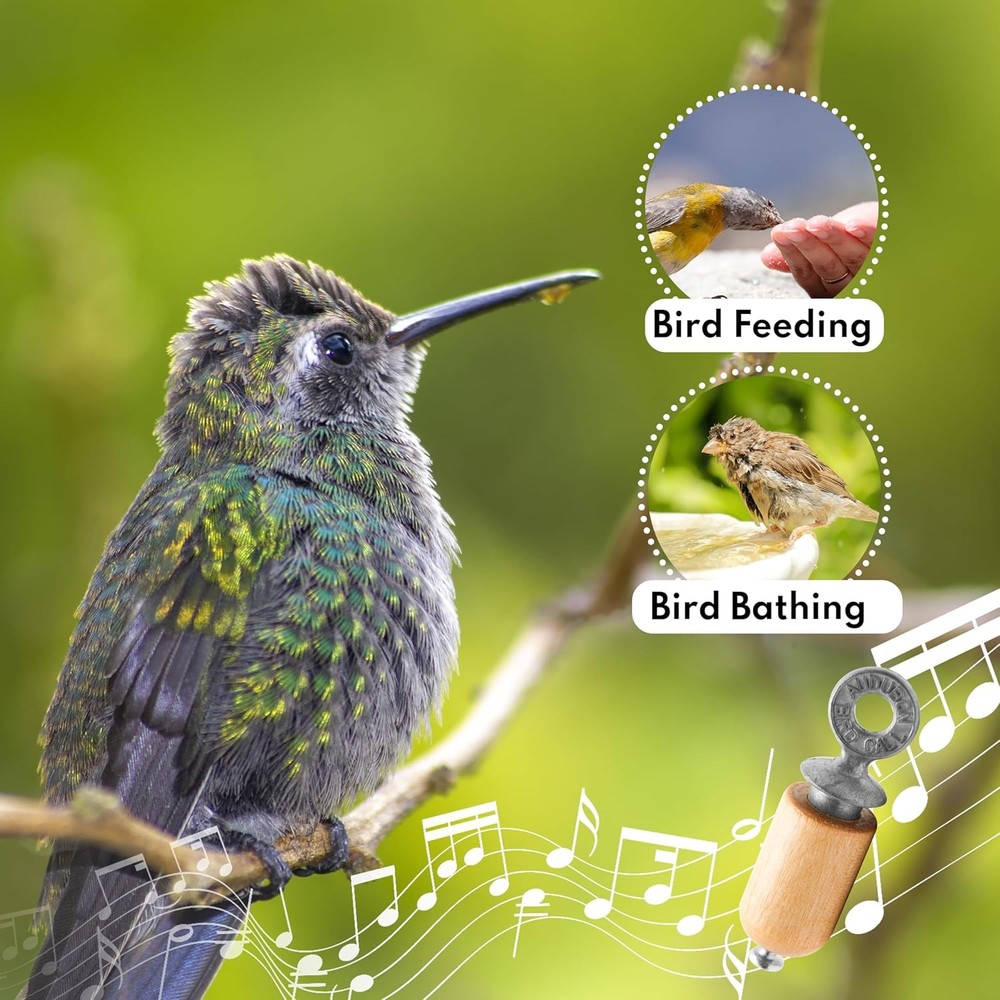 Bird Call - Natural Birch Gift Pack