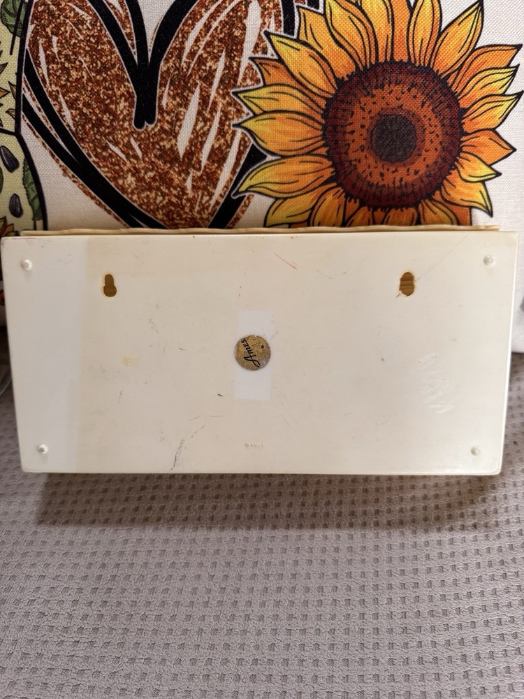 Vintage RARE Ames Raggedy Ann & Andy Plastic Tissue Box