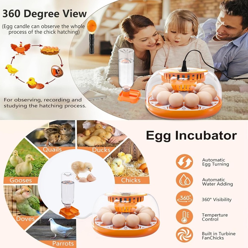 12 Egg Incubator with Automatic Egg Turning and Temperature Control, Automati...