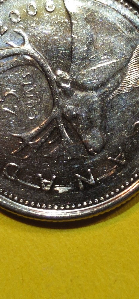 2006P Canada Quarter Dollar With Errors!