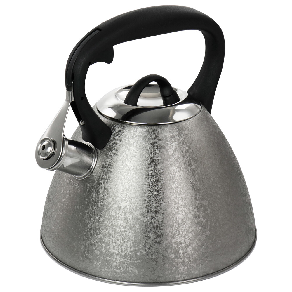 Mr. Coffee 128620.01 2.5 Quart Stainless Steel Whistling Tea Kettle