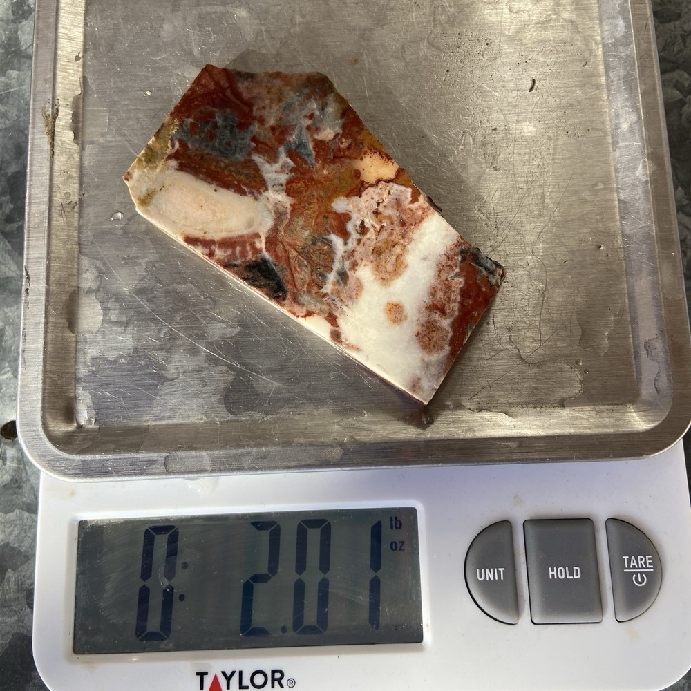 Vibrant Brecciated Jasper Slab 2 Oz