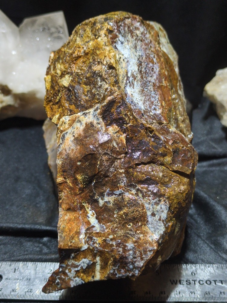 Biggs Jasper Specimen w/ Dendric Natural Form (7lbs 12oz)