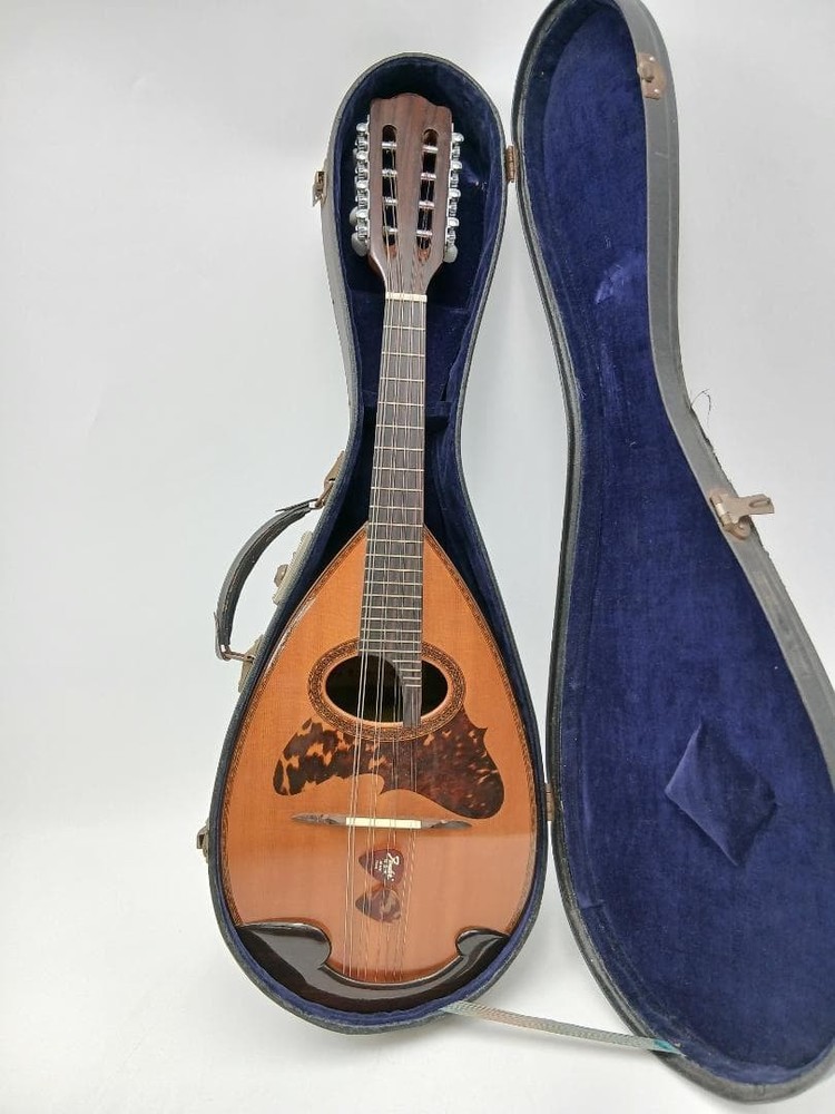 Suzuki violin mandolin with hard case