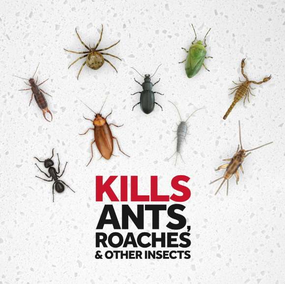 Raid® Ant & Roach Killer 26, Fragrance-free Bug Spray, 17.5 Fl. Oz. Multi Count.