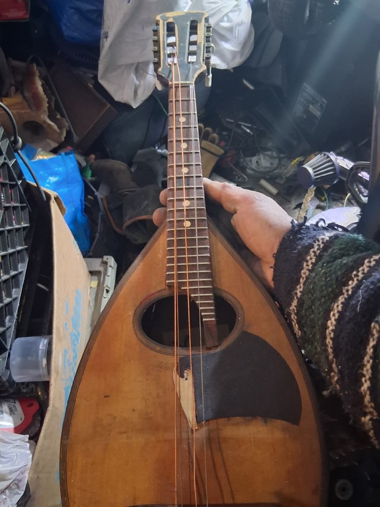 Etna Mandolin String Instrument