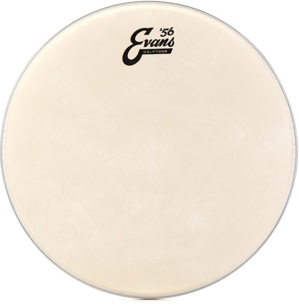 Evans Calftone Drumhead - 13"