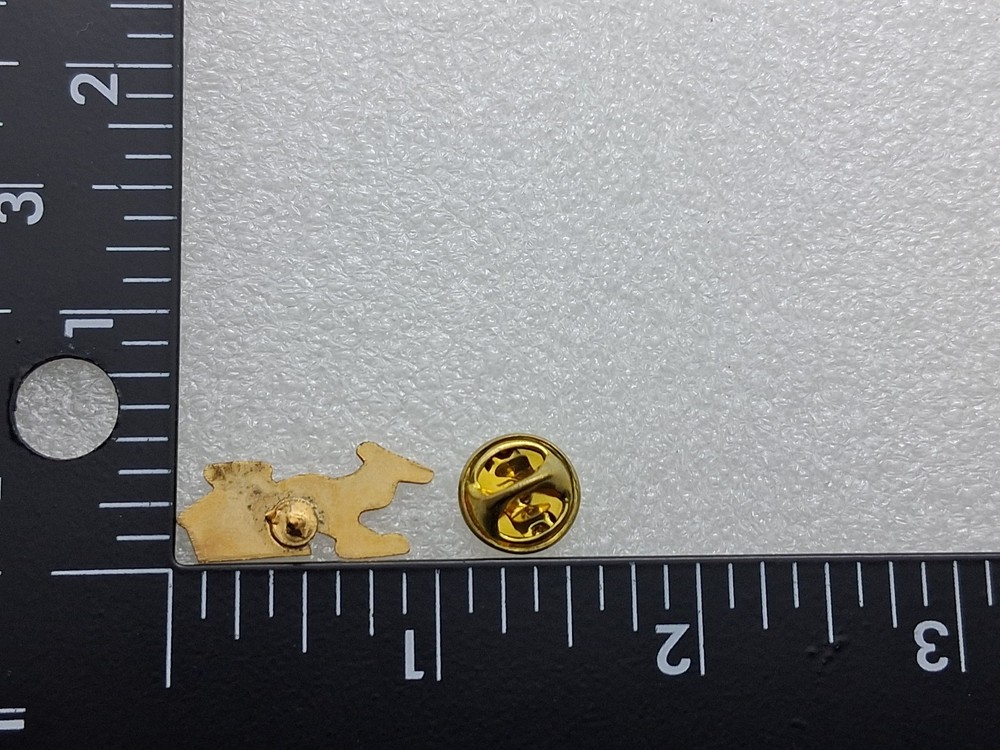 AMNI Aeromedical Transport Pin