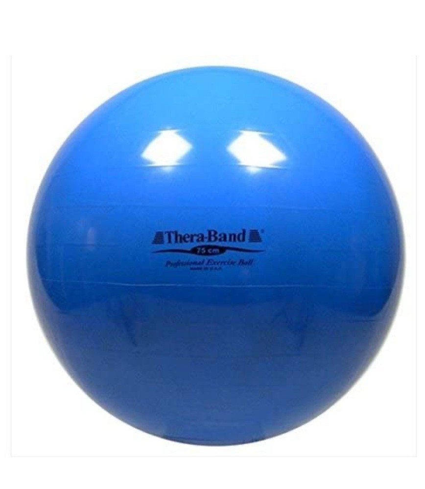 Exercise Ball 75cm 30in