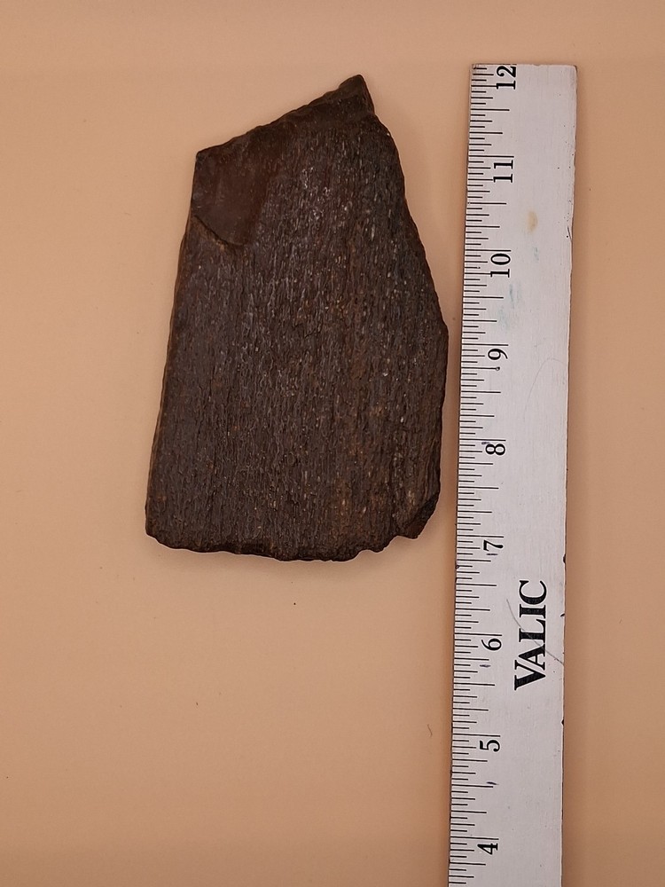 Petrified Wood