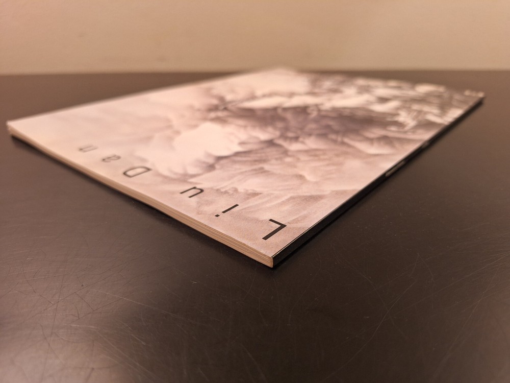 Liu Dan Alternative Visions 1993