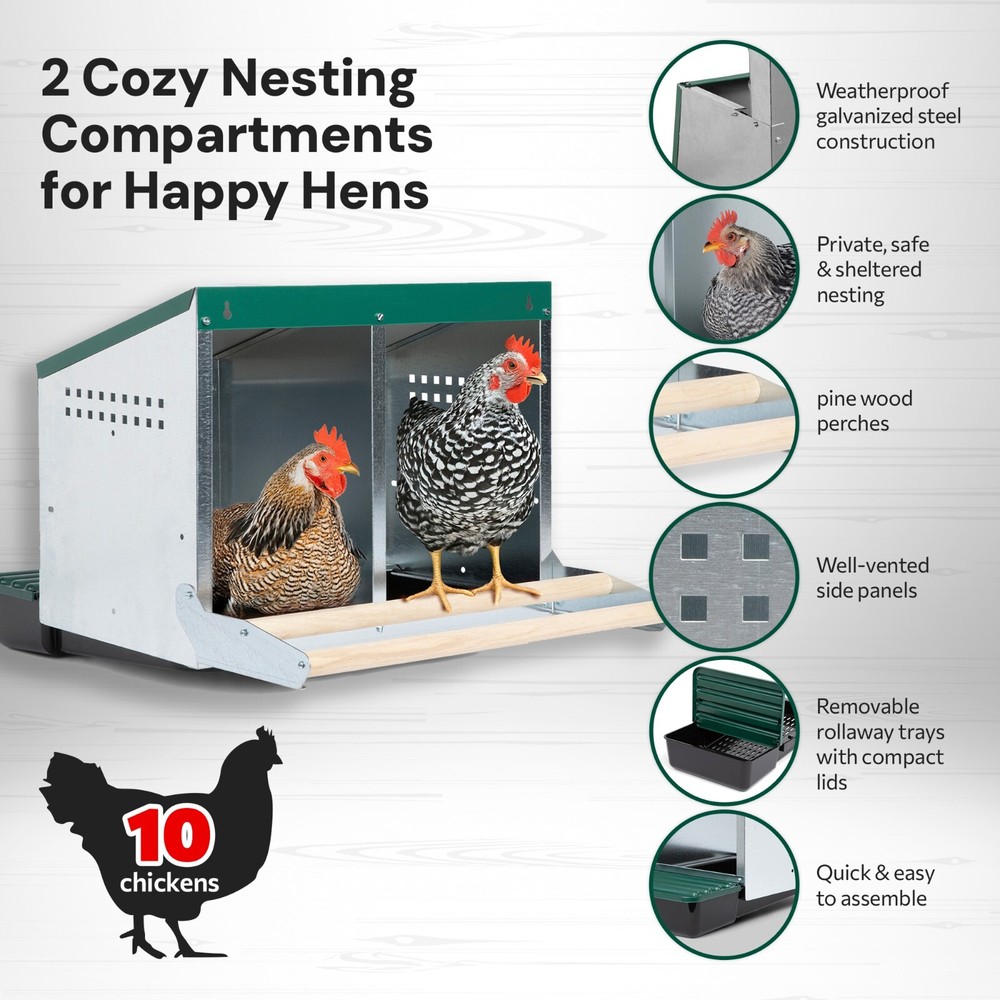 Homestead Essentials 2 Compartment Reverse Roll Out Chicken Nesting Box w/ Lids