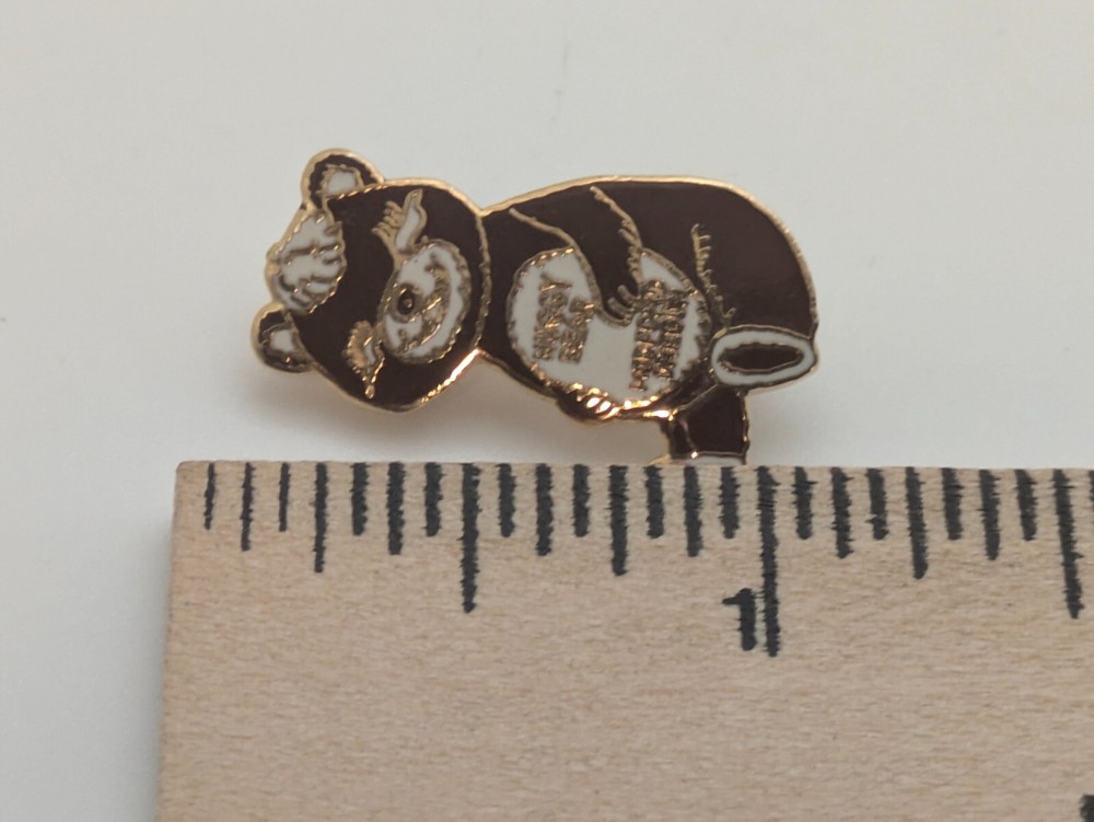 Huggy Bear Medford Oregon Lapel Pin